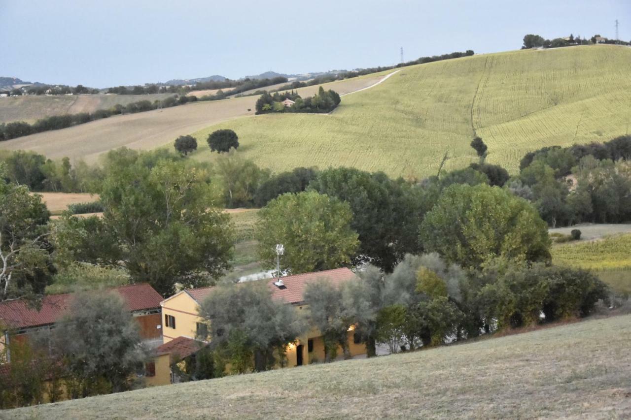 Agriturismo Fattoria Del Colle 이에시 외부 사진