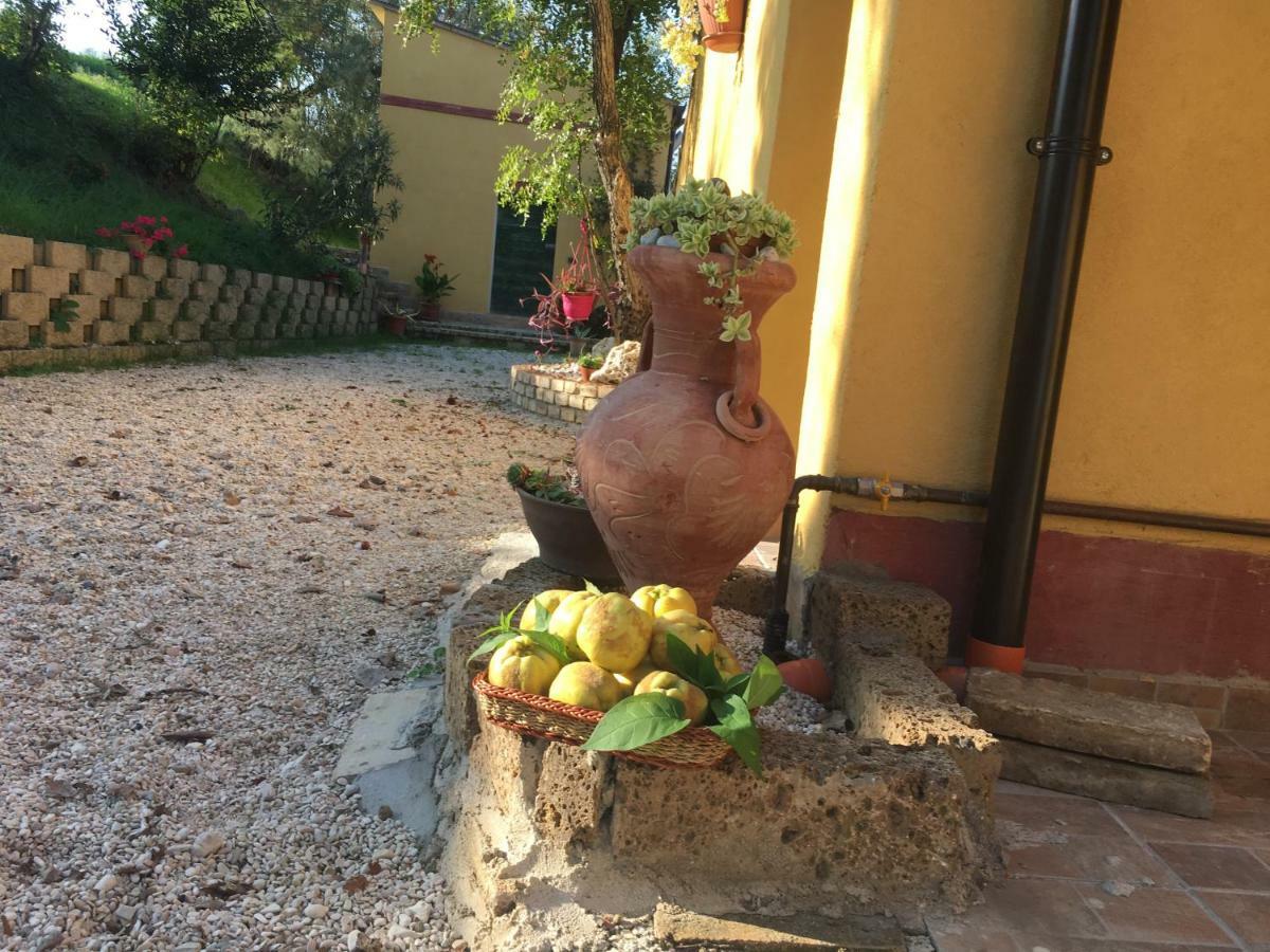 Agriturismo Fattoria Del Colle 이에시 외부 사진