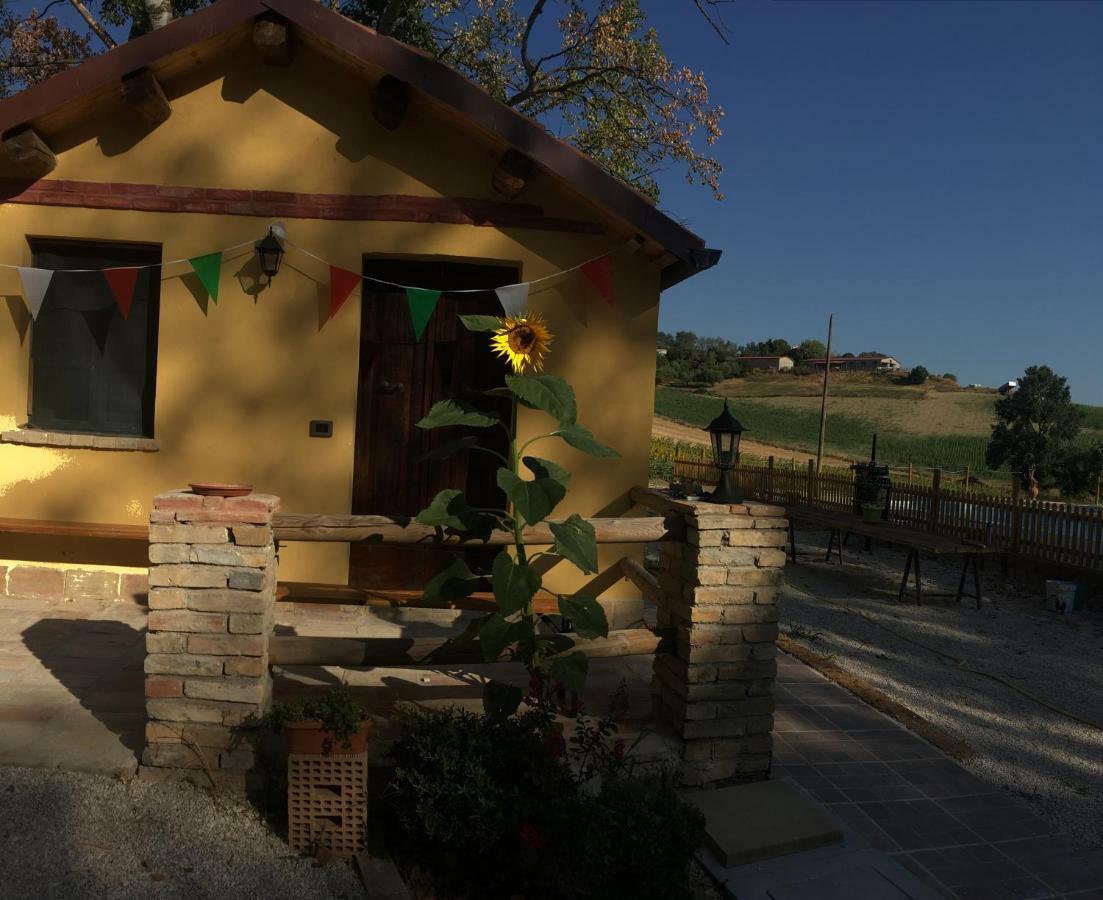 Agriturismo Fattoria Del Colle 이에시 외부 사진