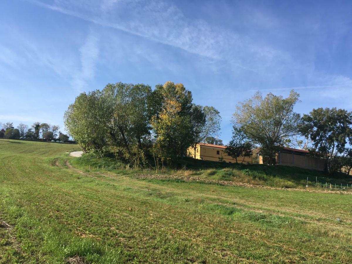 Agriturismo Fattoria Del Colle 이에시 외부 사진