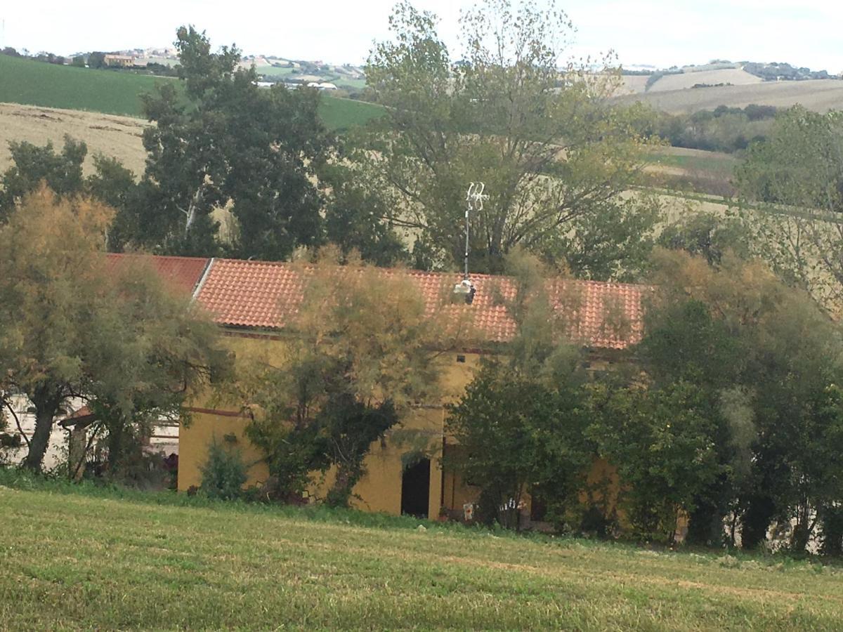 Agriturismo Fattoria Del Colle 이에시 외부 사진