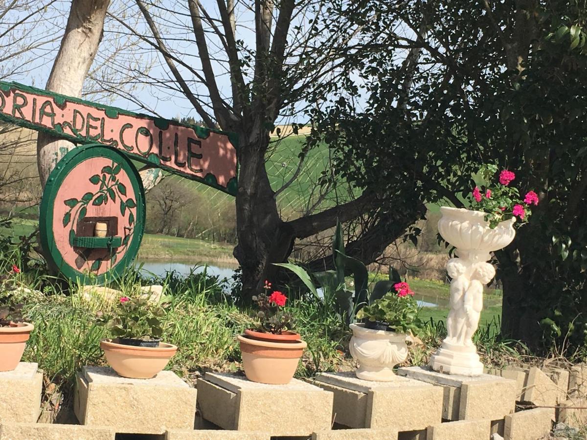 Agriturismo Fattoria Del Colle 이에시 외부 사진