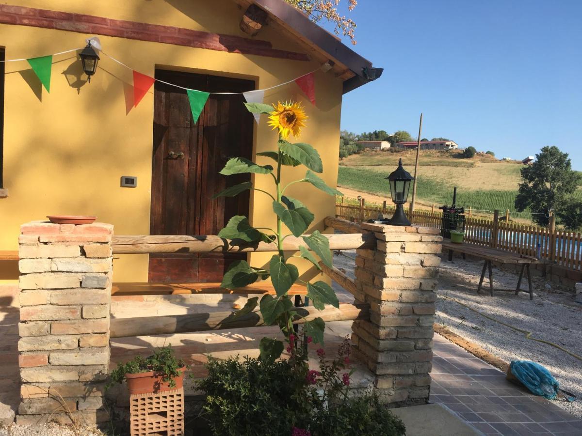 Agriturismo Fattoria Del Colle 이에시 외부 사진