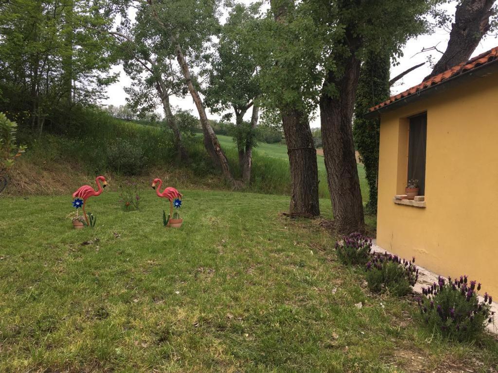 Agriturismo Fattoria Del Colle 이에시 외부 사진