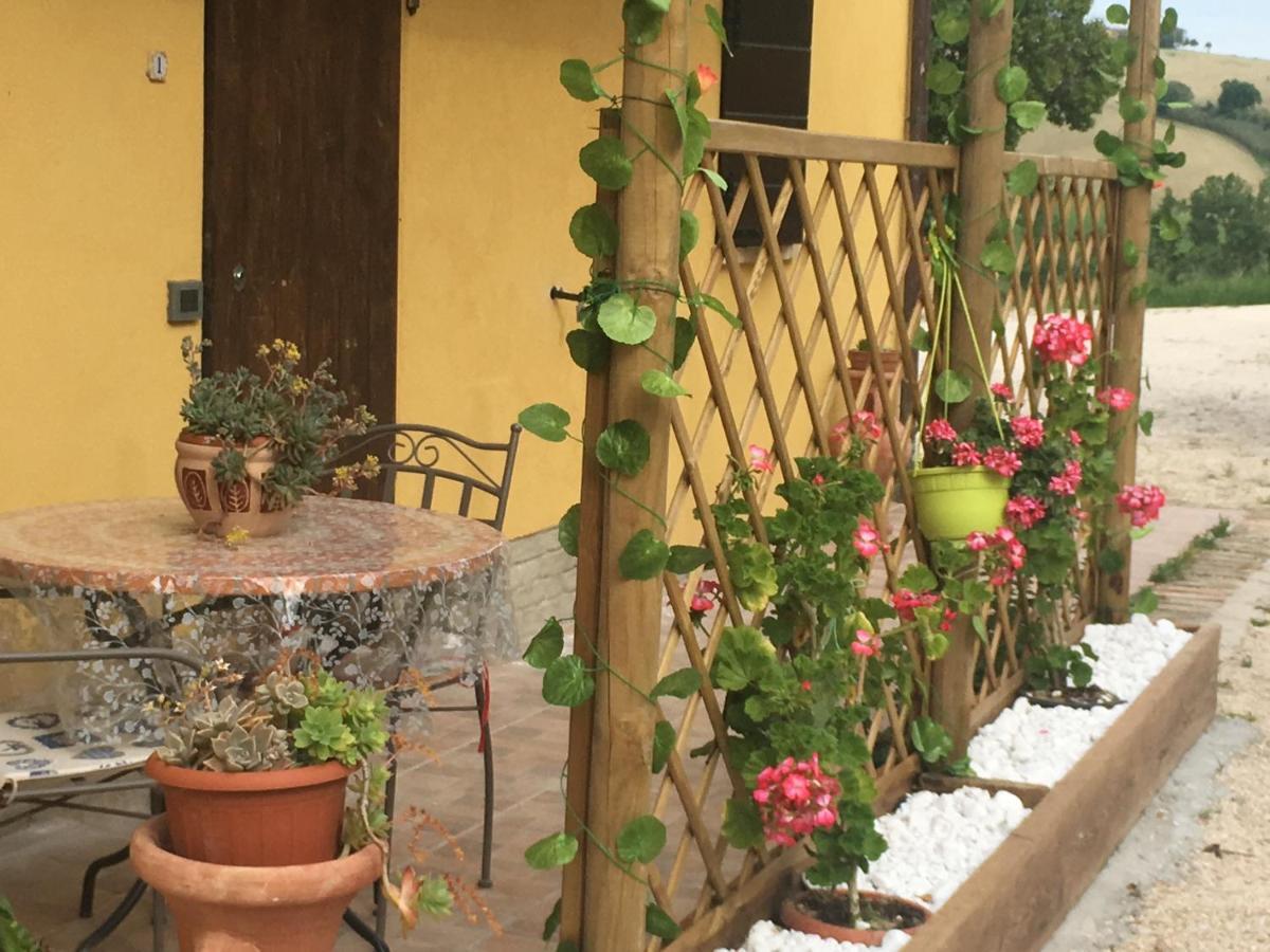 Agriturismo Fattoria Del Colle 이에시 외부 사진