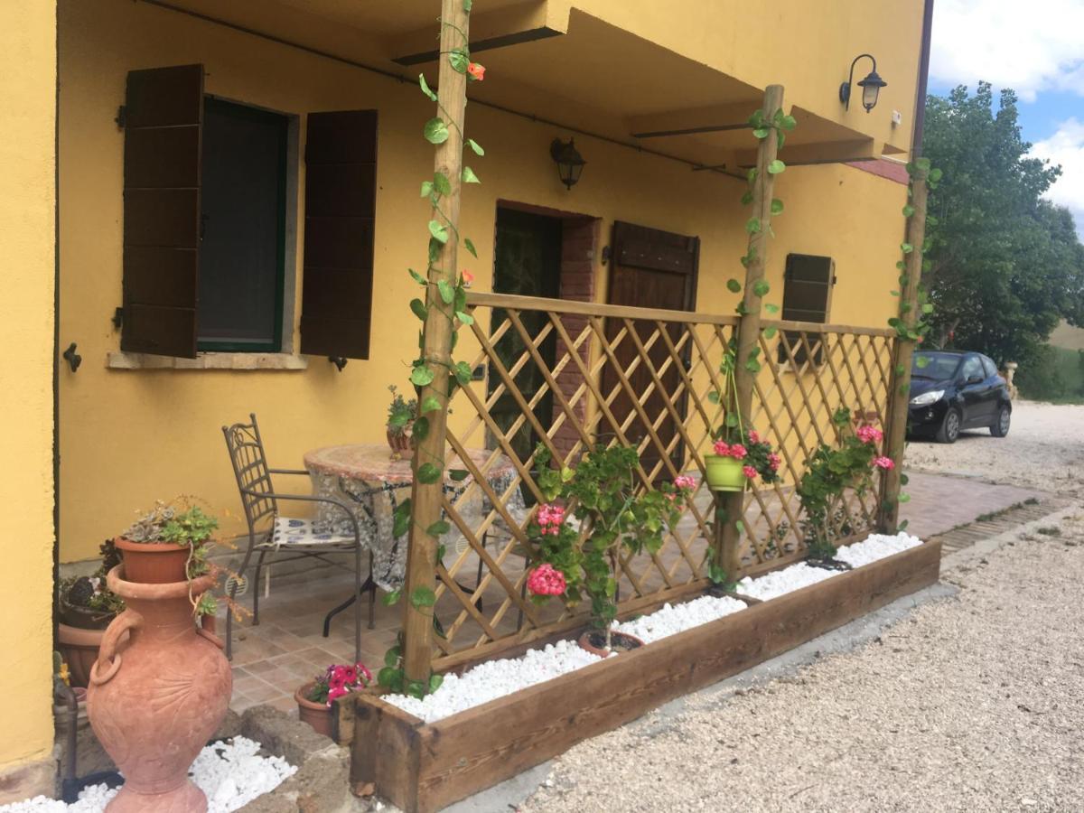 Agriturismo Fattoria Del Colle 이에시 외부 사진