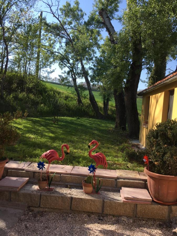 Agriturismo Fattoria Del Colle 이에시 외부 사진